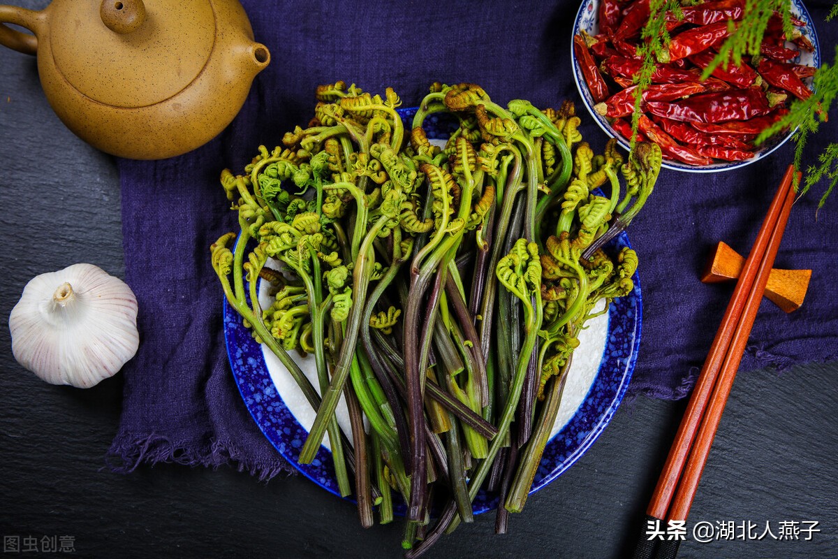 春天挖野菜，送你56种野菜大图片，带你见识不同的野菜和吃法