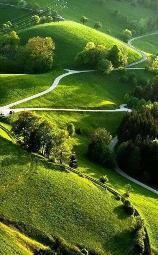 最有禅意的经典句子，让你看破红尘