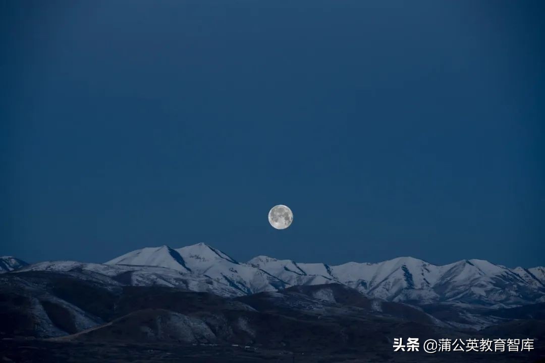 致宅家学习的孩子：你当像鸟飞向你的山