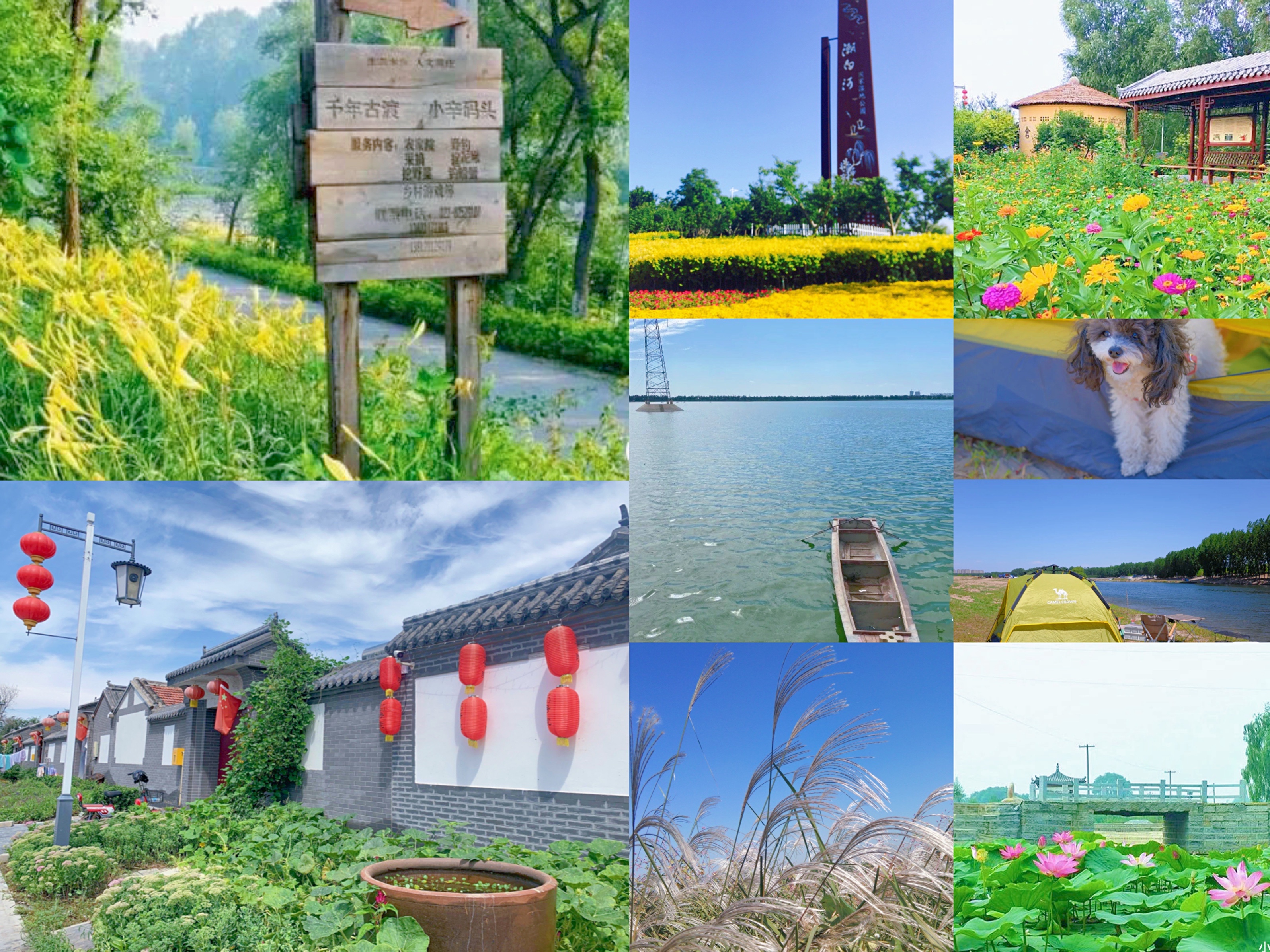 天津好玩的地方(16区都有！天津踏青景点大汇总！别再说天津没什么好玩的了！(上))