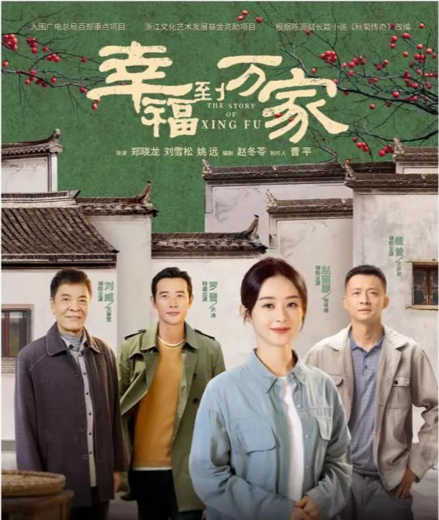 《幸福到万家》：赵丽颖、乡村、接地气——这部剧是否值得看