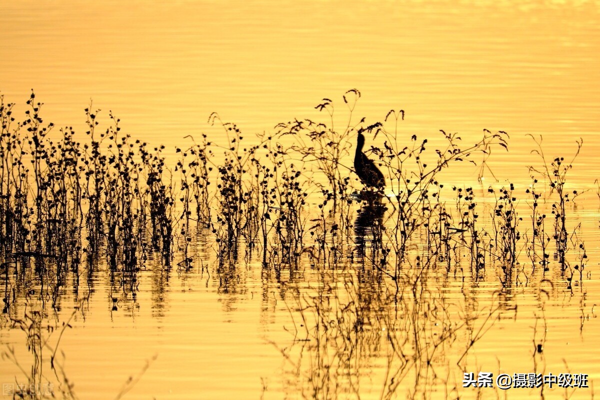 點(diǎn)評(píng)3張照片，犯了一樣的攝影錯(cuò)誤，拍風(fēng)景的忌諱