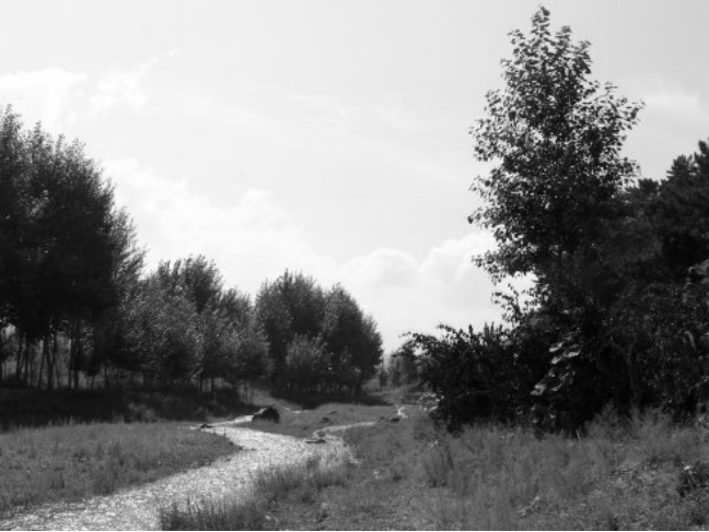 2014年，河南大学生抓16只鸟被判10年，其父喊冤：他只是个孩子