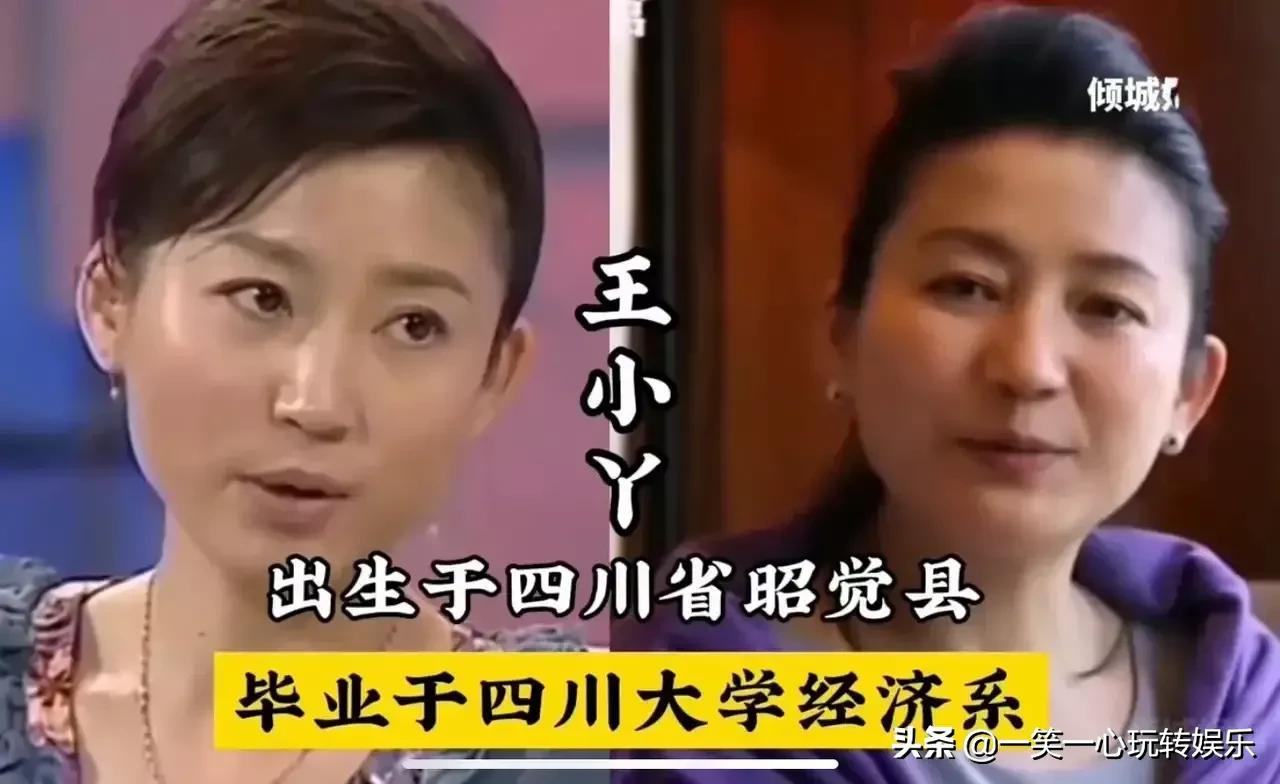 央视主持人高学历对比，学历和努力都非常重要，董卿当之无愧第一