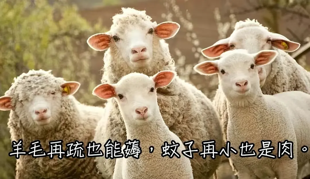 小暖象瓜分15万份支付宝红包