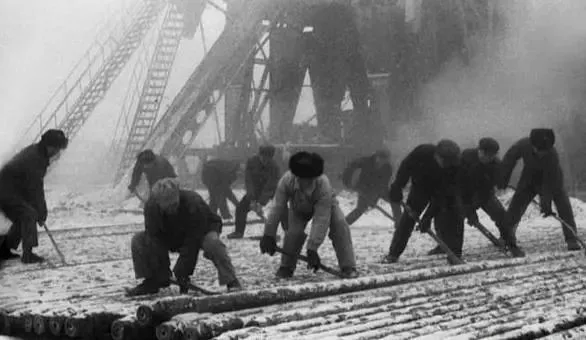 “立德树人标兵”周曼：一位敢想、敢创、自我革新的育人者