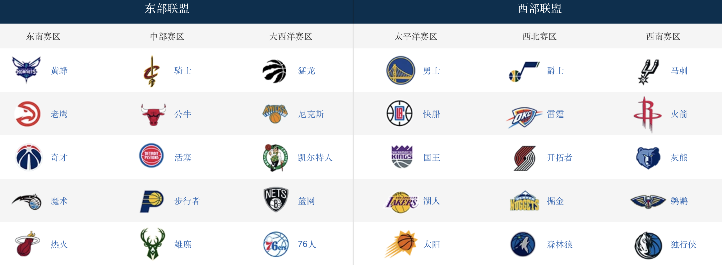 喬丹球隊叫什么名字（喬丹的球隊：黃蜂隊的前世今生）