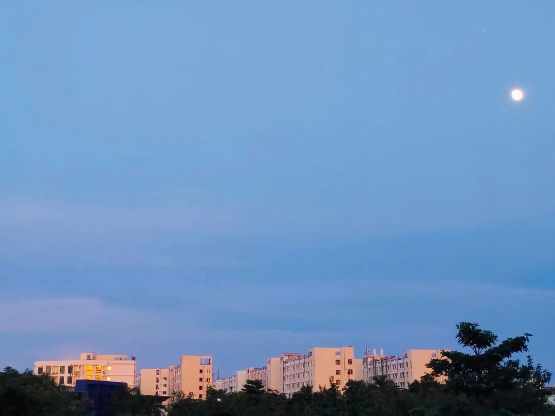 坐落于祖国最南端！这所高校承百年历史，风光秀美，实力强劲