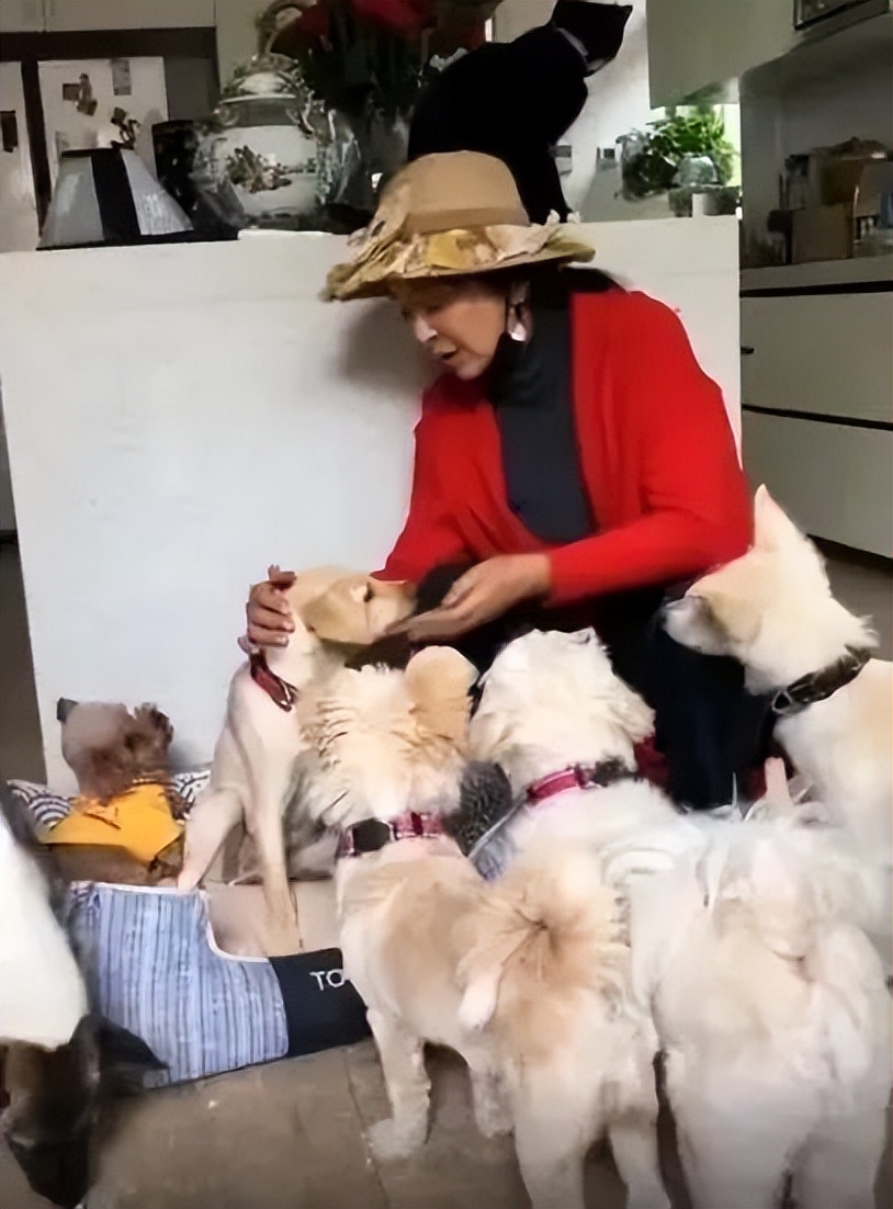 她是演艺圈最泼老戏骨，三嫁老外离婚，如今59岁未婚独居北京豪宅