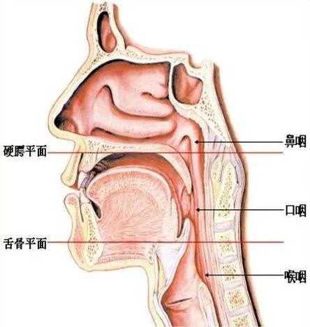都说炎症会变癌,那鼻炎会变鼻咽癌吗?