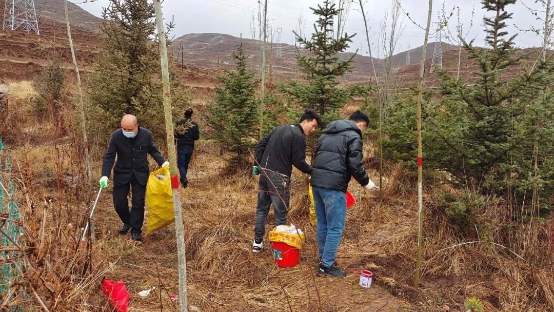 生态筑梦，绿色先行——临潭县开展山水林田湖草沙系统治理和公路沿线环境整治活动