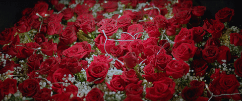 Angelababy再遭群嘲，这回不怪她的演技