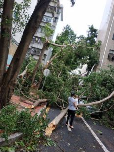 @物业人：台风反复无常，这份防风防汛小攻略赶紧收藏