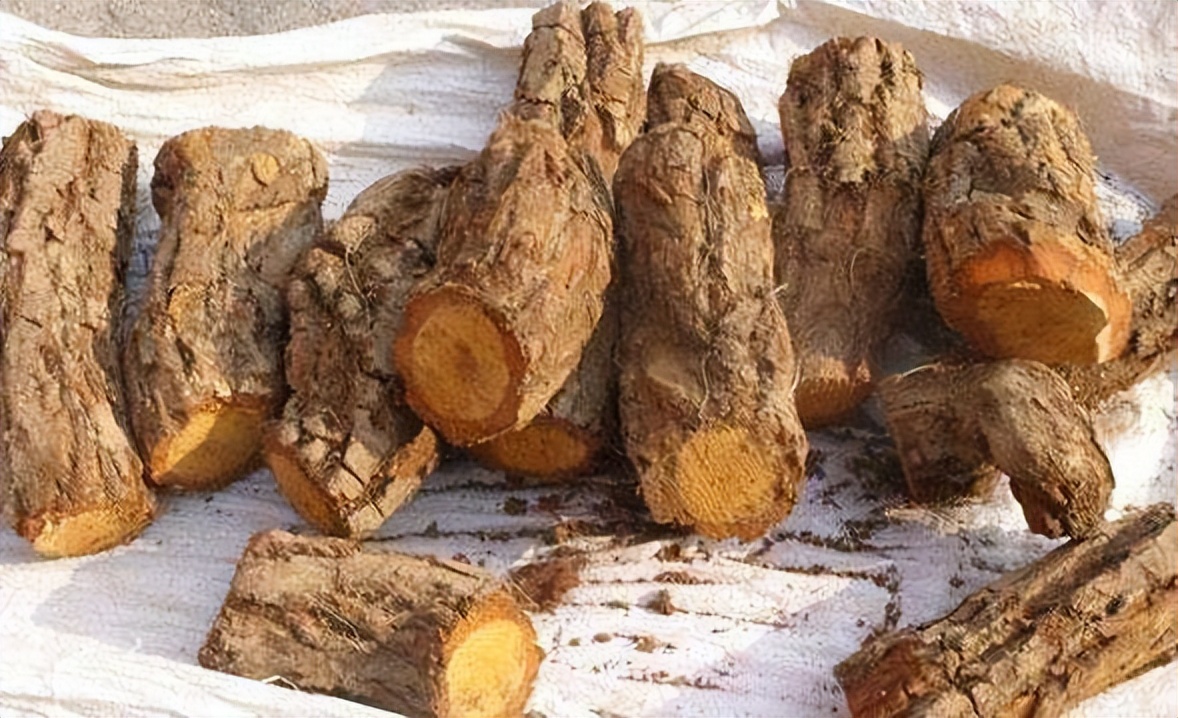 3. 用于大肠癌清热解毒,消肿散结,藤梨根,水杨根,虎杖根