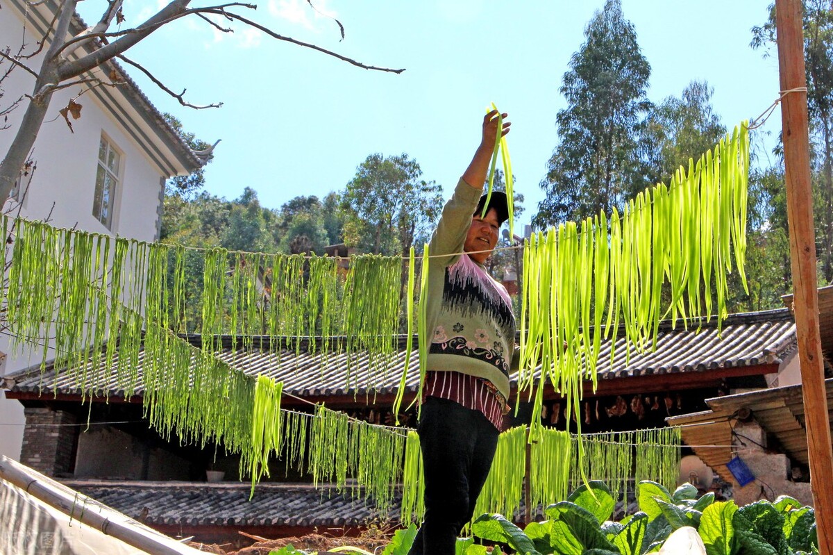 它是什么制作而成的?为何不大力推广种植