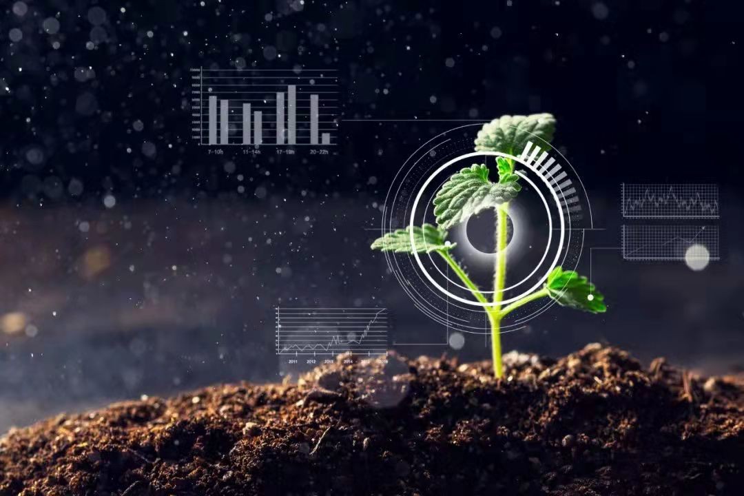 新IT技术振兴乡村经济，联想集团助智慧农业惠及千家万户