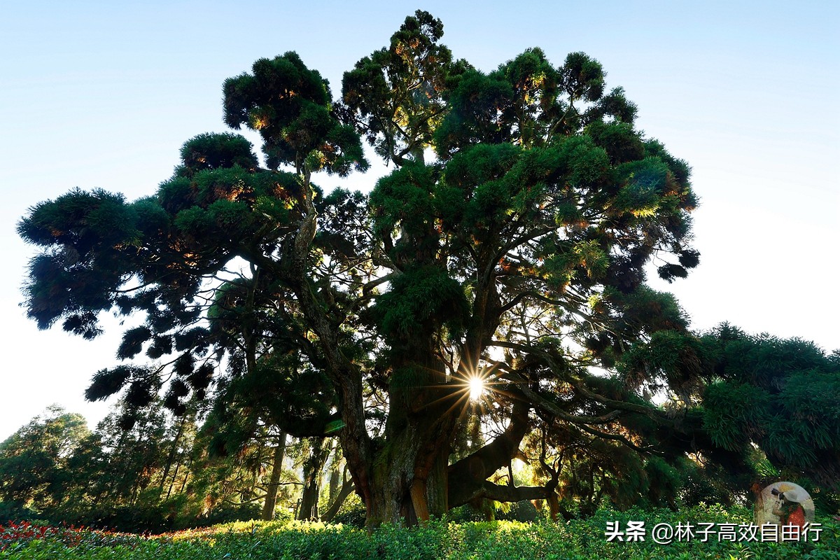 可能是目前最全最特别的福州市区玩法攻略