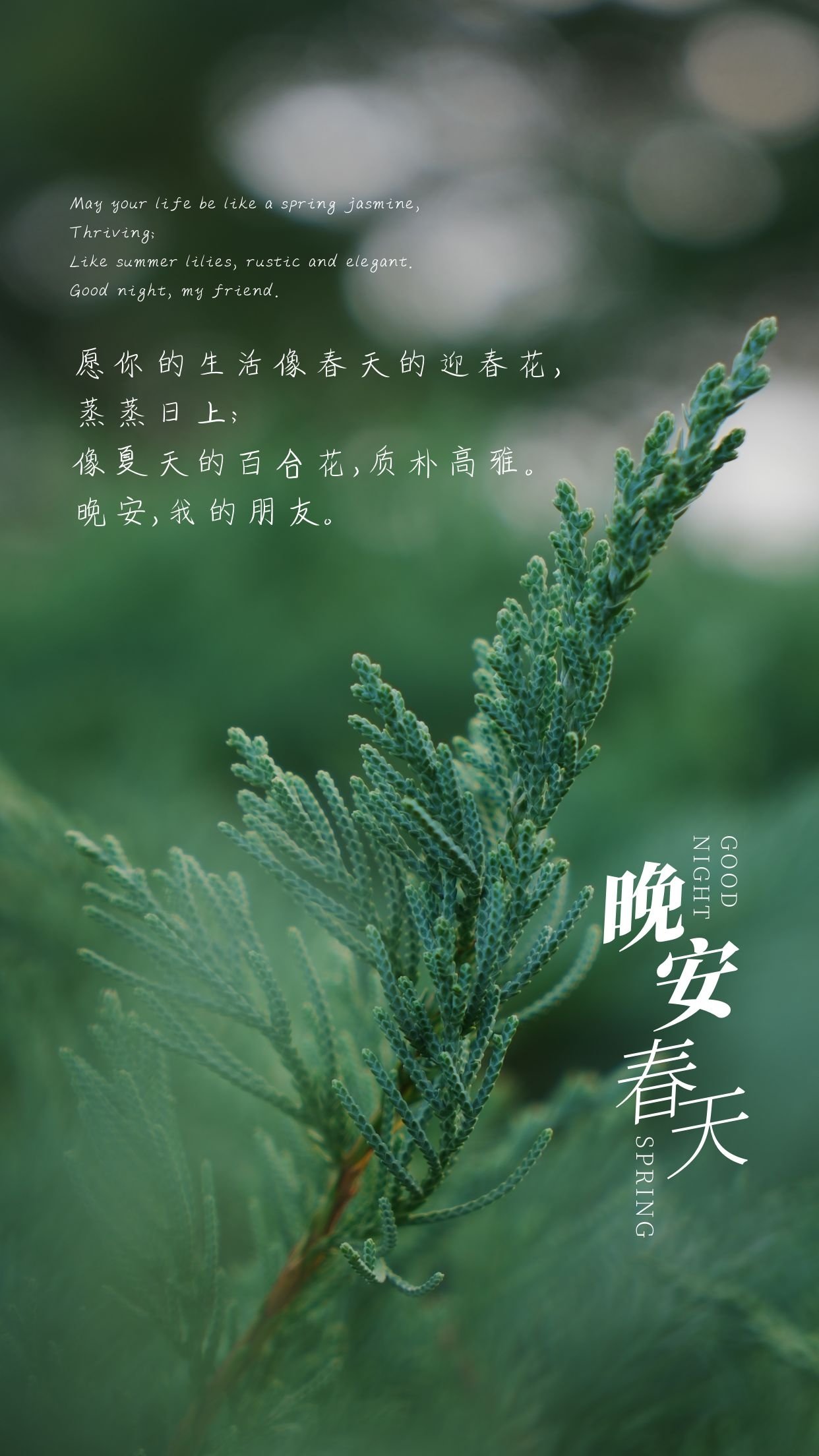 朋友圈精彩文案短语句子，击中人心