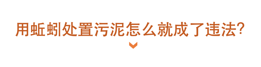 养蚯蚓为何屡次成为“挡箭牌”，被中央督察戳穿？