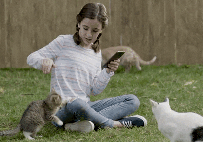 猫咪半夜蹦迪，如何友好地将TA请出卧室