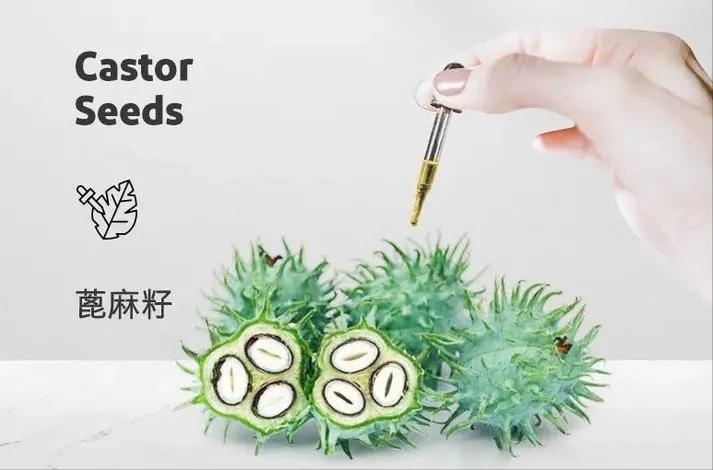 3个“贴心”的家居小物件，本以为是“鸡肋”，用后却离不开了