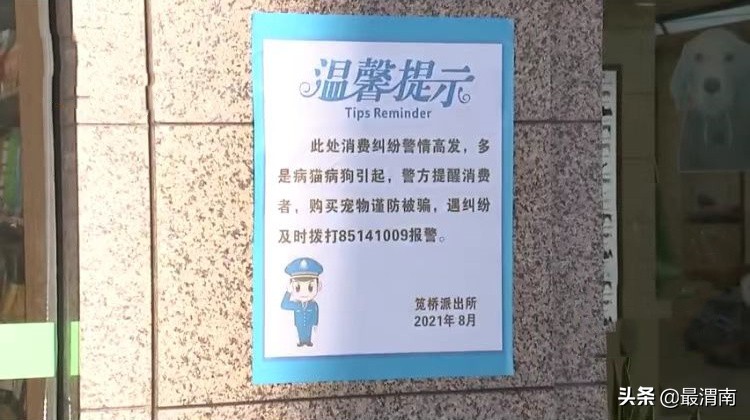 浙江一女子买到“病猫”，老板耍无赖：这是换环境的正常现象