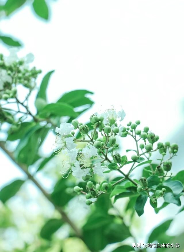 水润万物，雨生百谷，暮春将尽，初夏即至