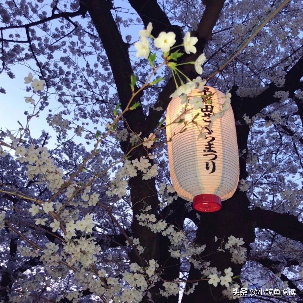 校园爱情故事：你是我的救赎