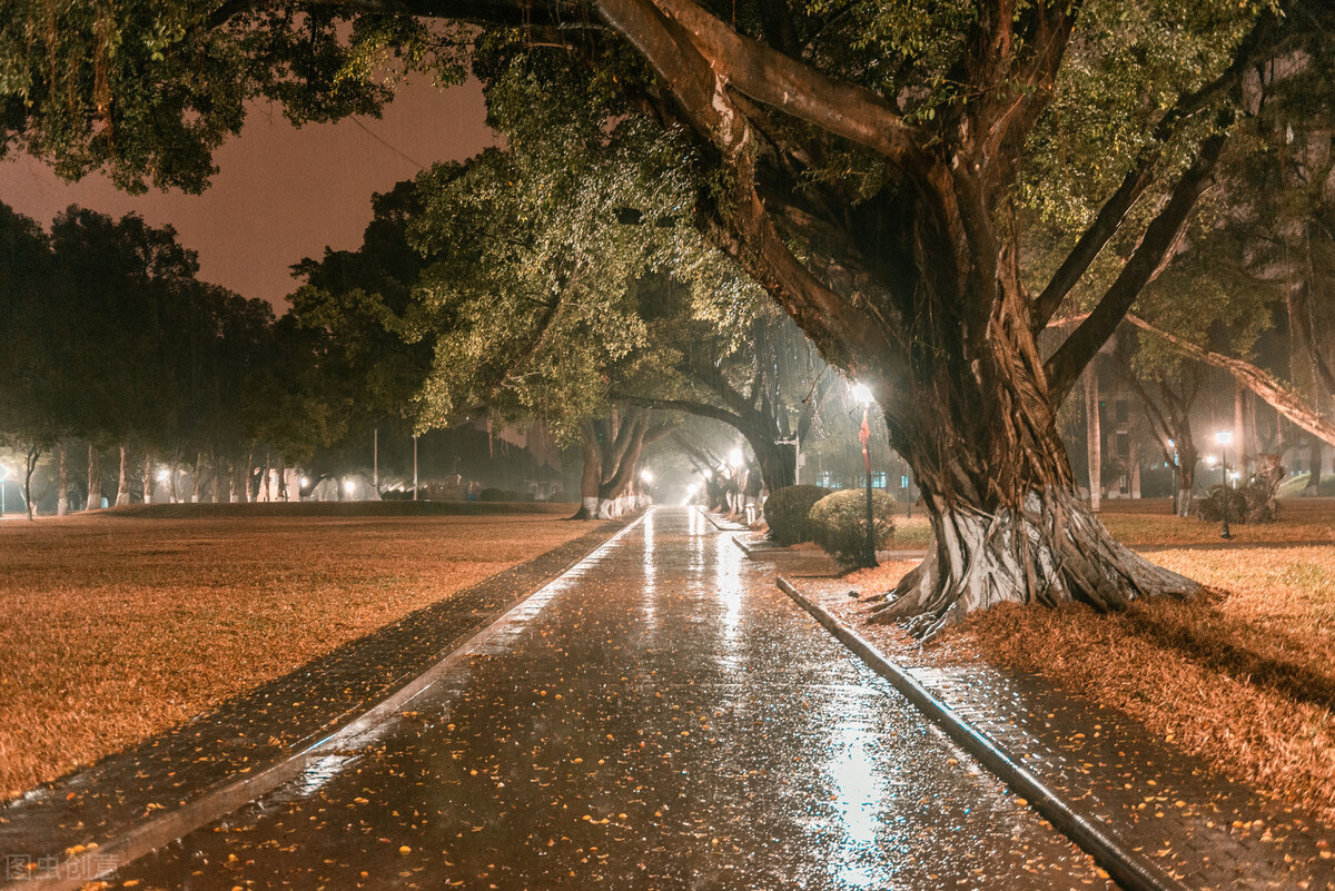 精靈虎有話說:《南方的雨和北方的雨》今夜又下著小雨小雨它一點一點