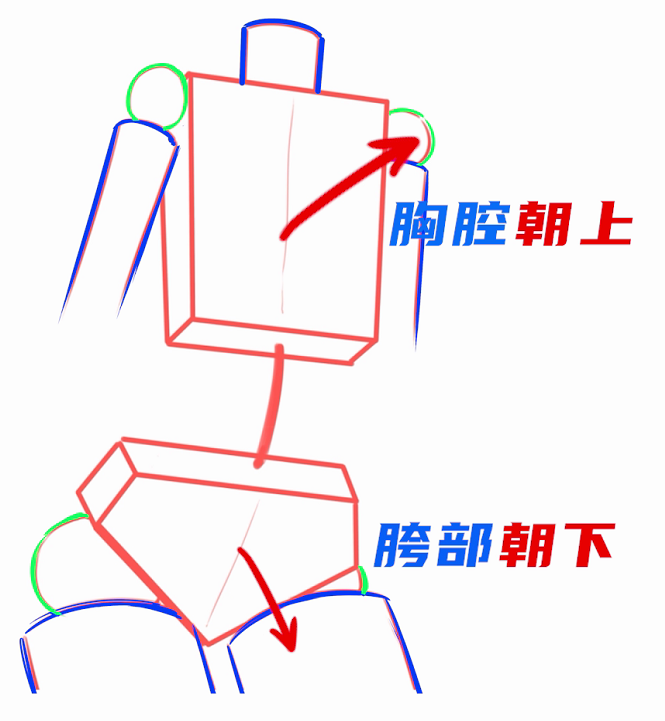 「干货」“人体手残党？”教你画人体万能公式，三步画出人体