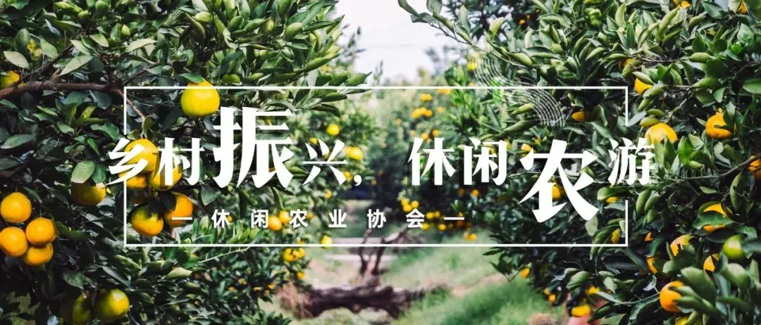 春风十里 绿印宁城——南京休闲农业系列调研圆满结束