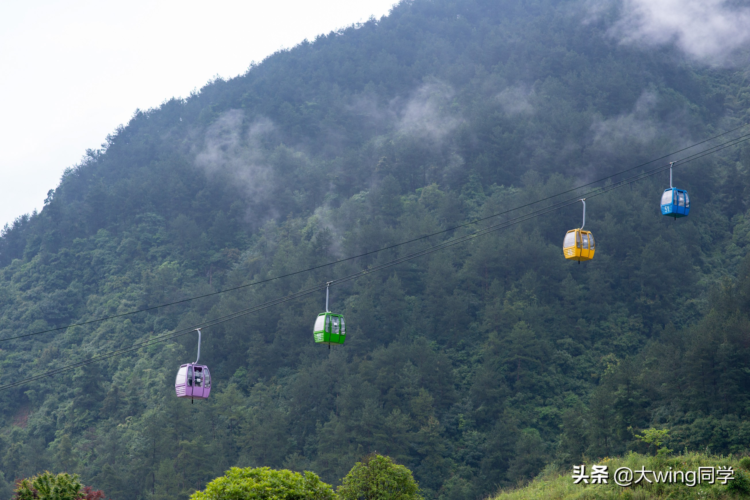 贵州“云上草原”，宛如油画的休闲胜地，旅游扶贫下的完美蜕变