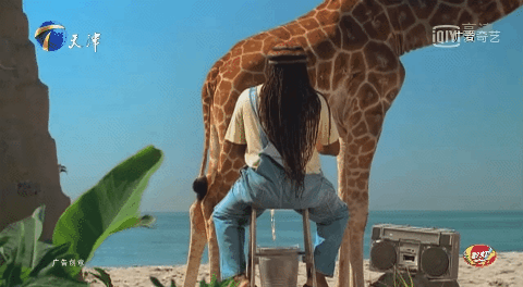 身家9000亿，闷声发财超百年，他们是全球最神秘家族