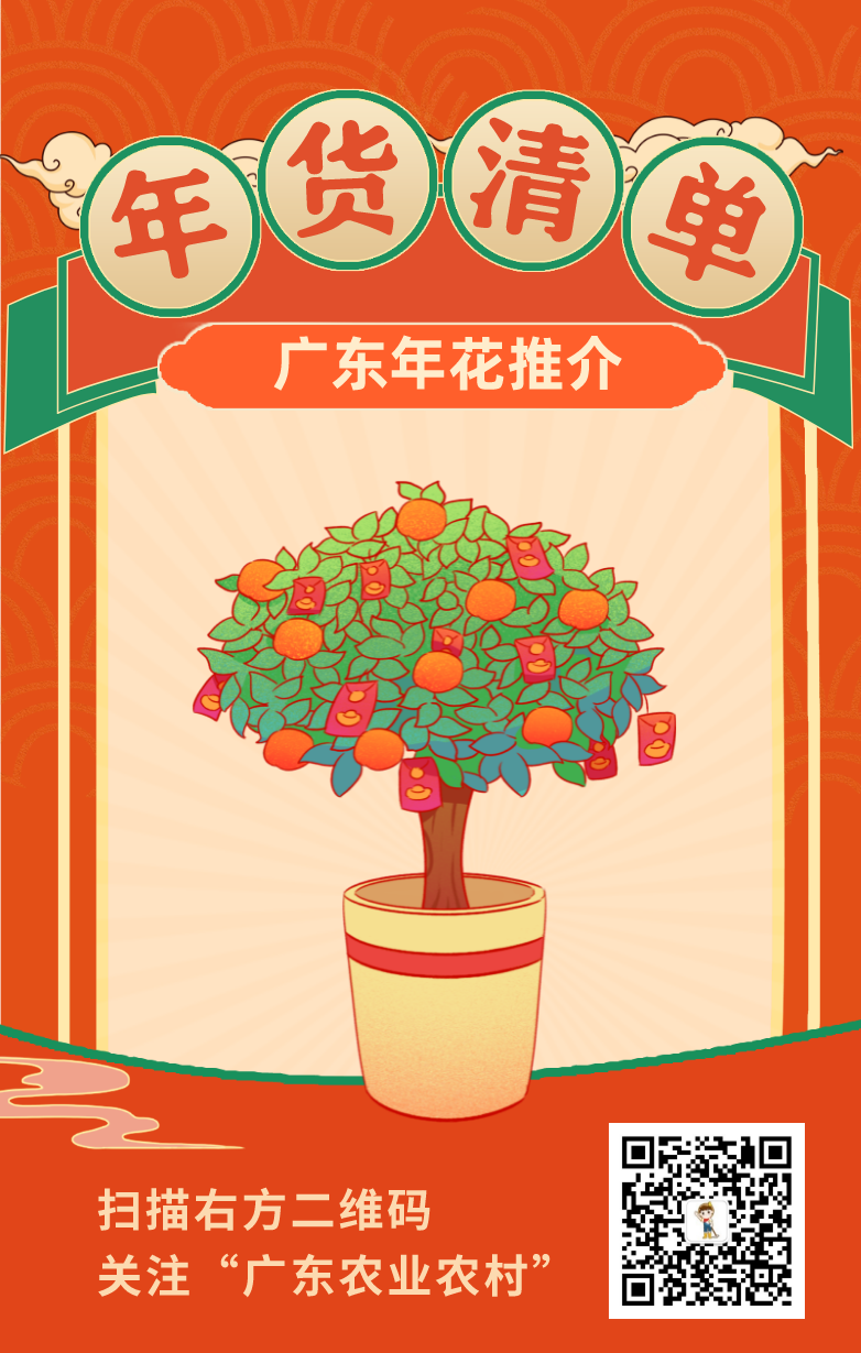 从化室内花卉哪些种类（年货推介第一弹！广东花市强势回归，哪朵花是你的最爱？（附各地市购花攻略））-趣拿体育