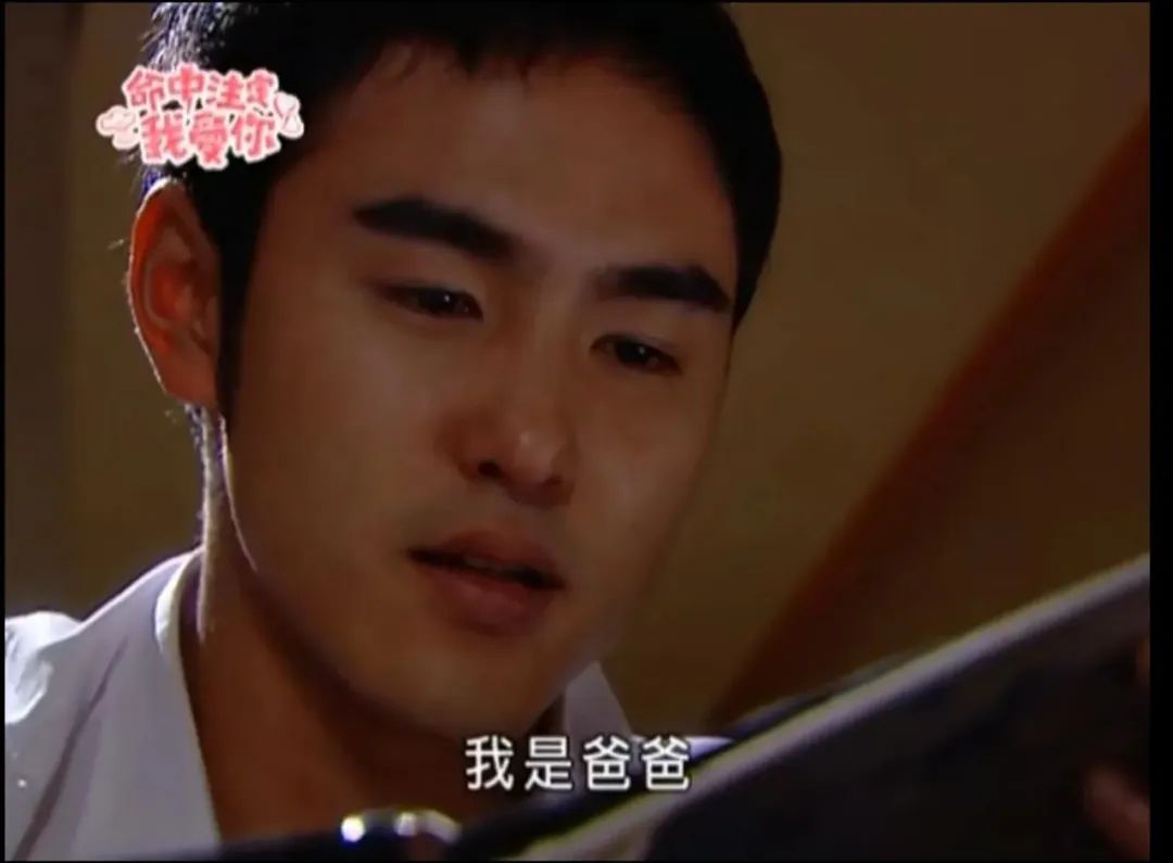 收视最高的10部台湾偶像剧：《天国的嫁衣》第9，《流星花园》第2