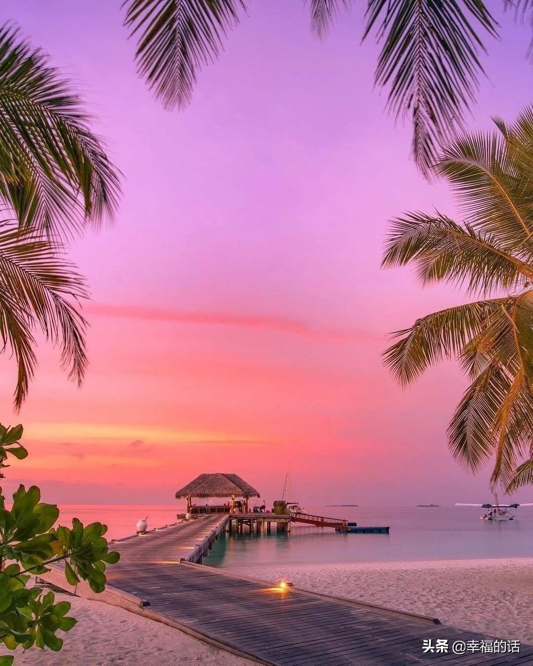 海边优美景色的句子_晶羽文学网