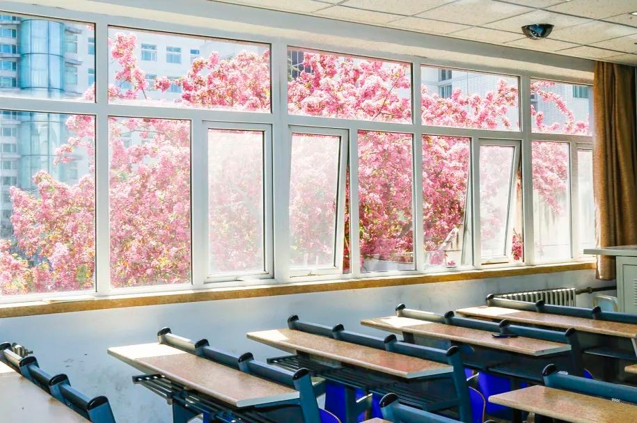 北京教授主持科技部项目子课题，助力城市高温灾害预警！