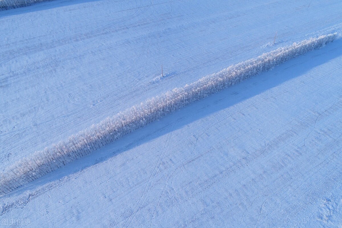 一场雪引起的思念之情