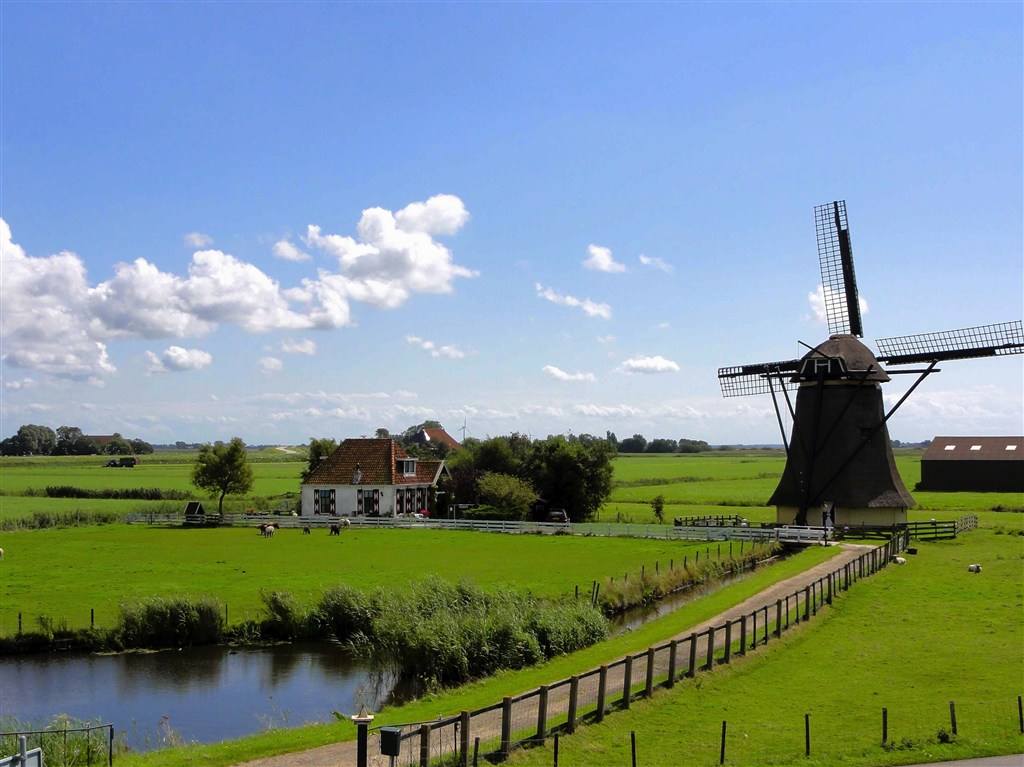 “荷兰”现状，带你看看真实而开放的荷兰