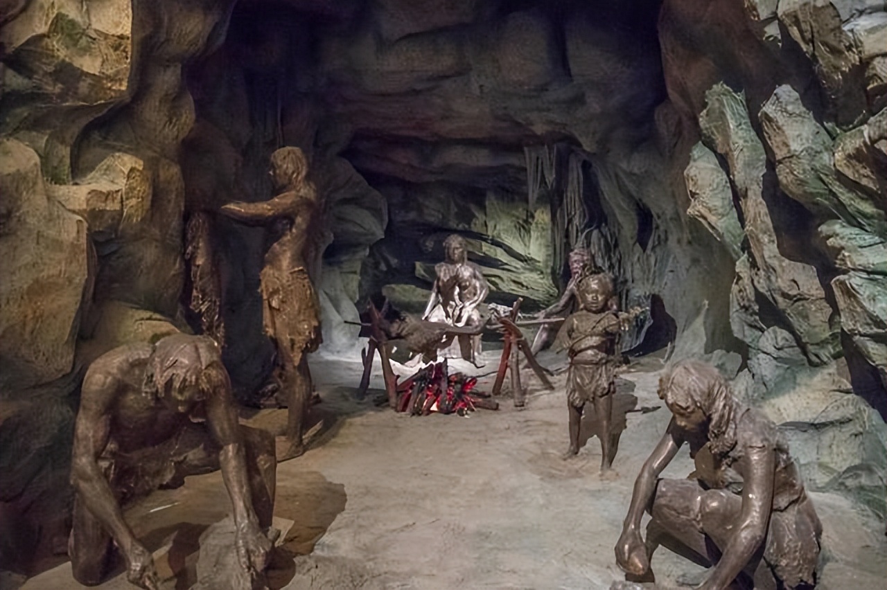 中国浙江、云南的化石立功！科学家首证：人类中耳由鱼鳃演变而来