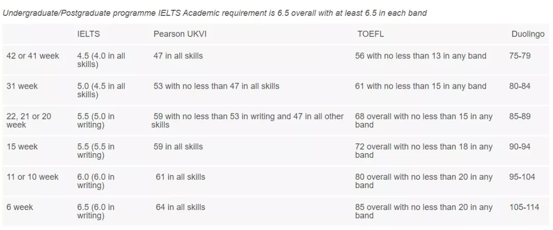英国大学22fall语言班申请更新（上）：和雅思say bye的机会有