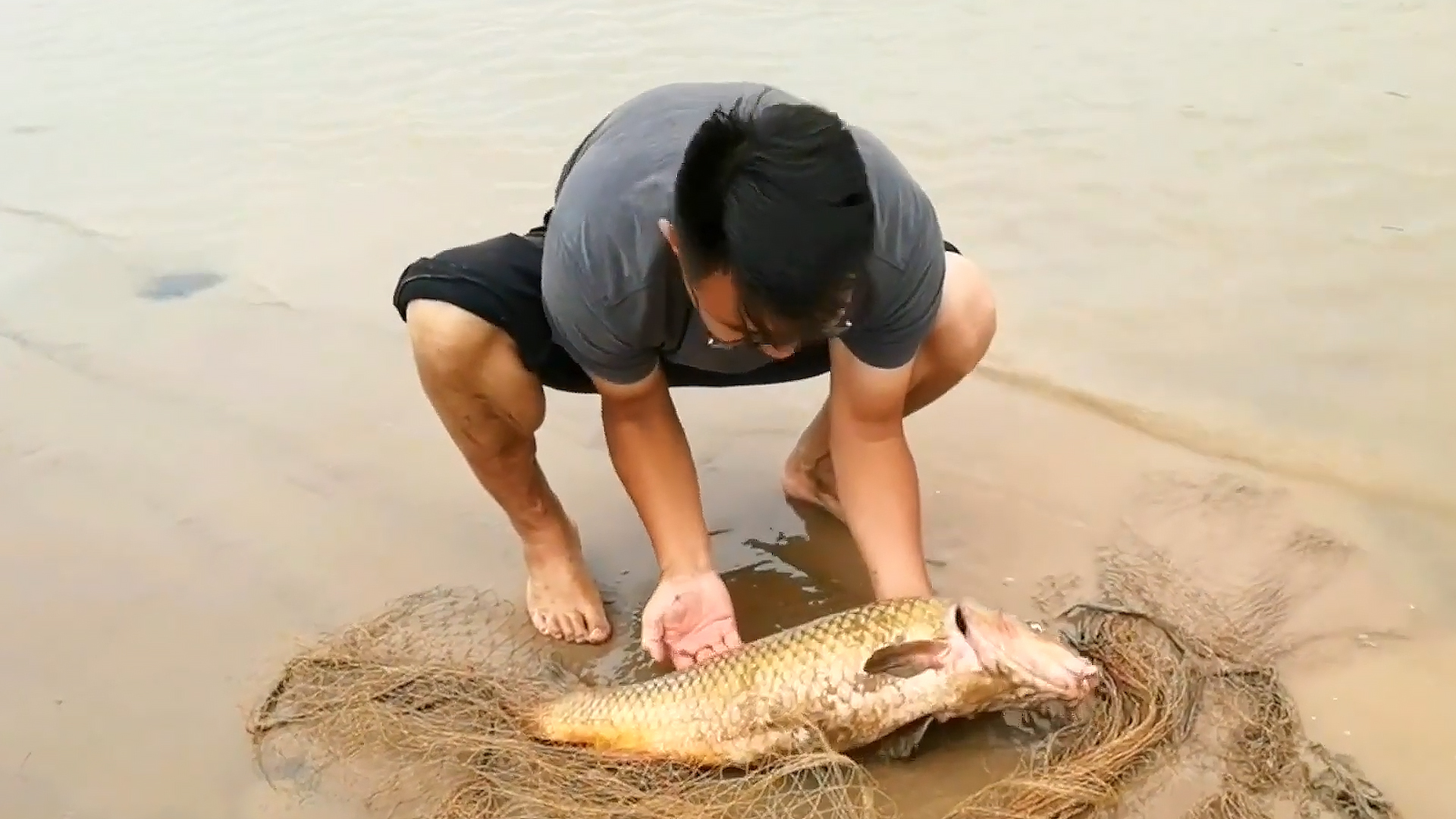 黄河鲤鱼百元一斤，吃货感到好奇：它究竟有啥特别之处？