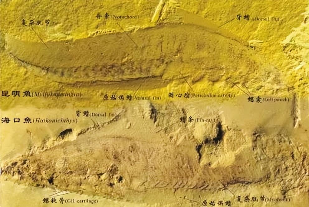 火上央视！这些“国宝级”文物就藏在陕西这所大学，世界罕见