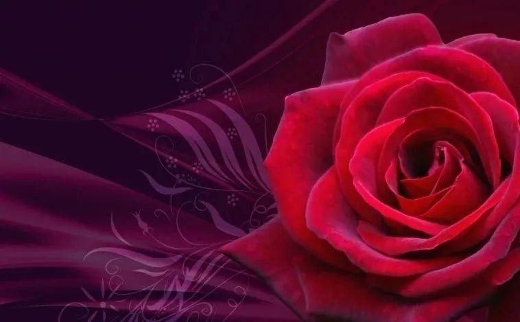 「2022.05.20」早安心语，正能量句子文案 520我爱你语录说说图片