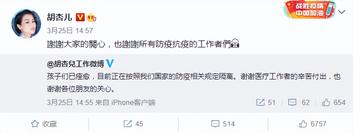 胡杏儿俩儿子感染新冠后康复如初，李乘德晒三兄弟团聚超温馨