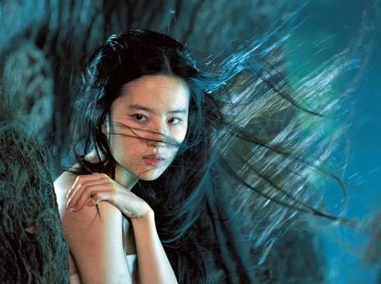 论刘亦菲和陈星旭适配度