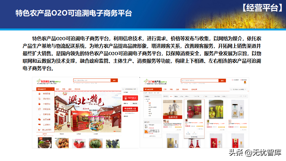 65页PPT智慧数字乡村农业大数据解决方案（附PPT全文下载）