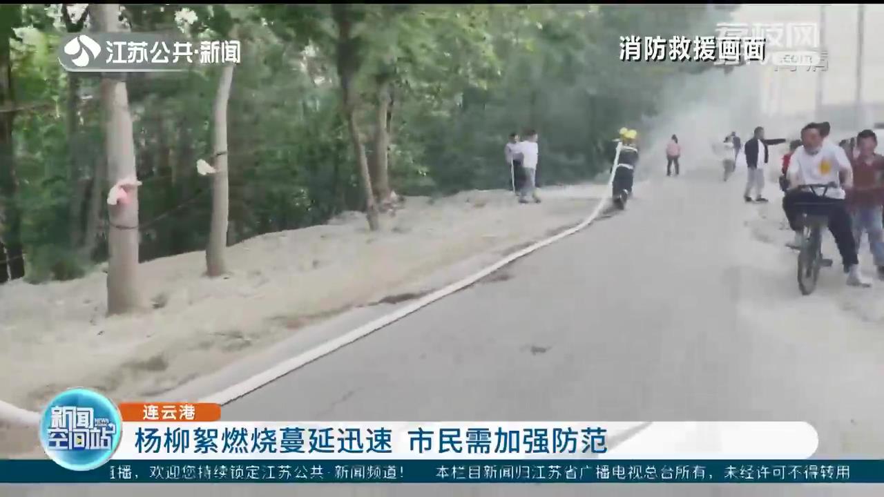 连云港一处柳絮着火引燃树木草堆 消防紧急扑救 提醒：市民需加强防范