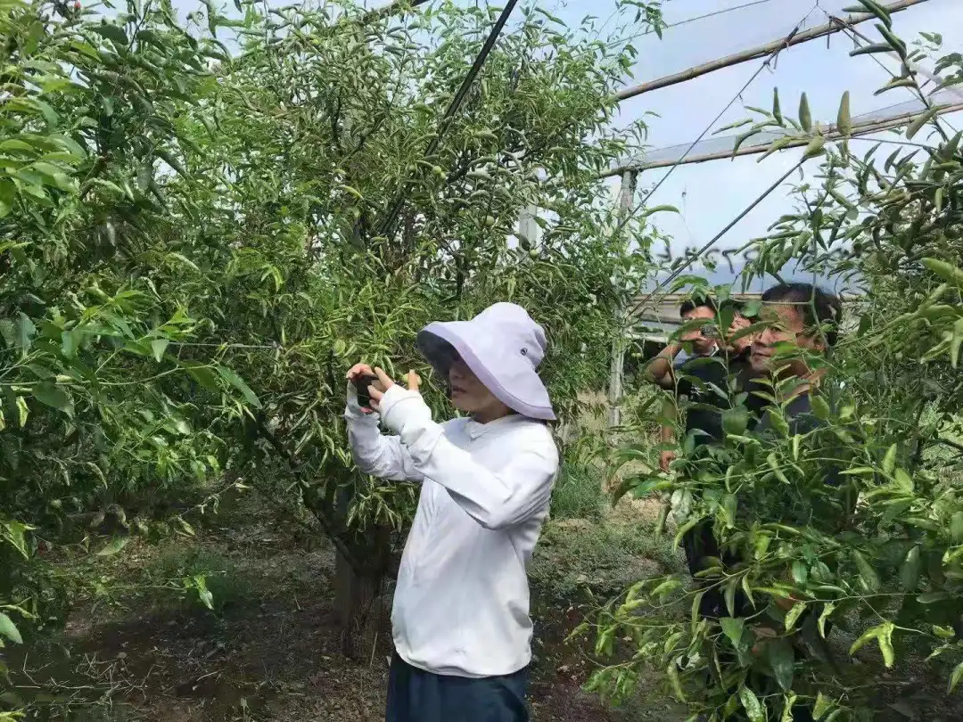 ���ϵ��� ��մ����37����ũ�����Ԫ�⳥��