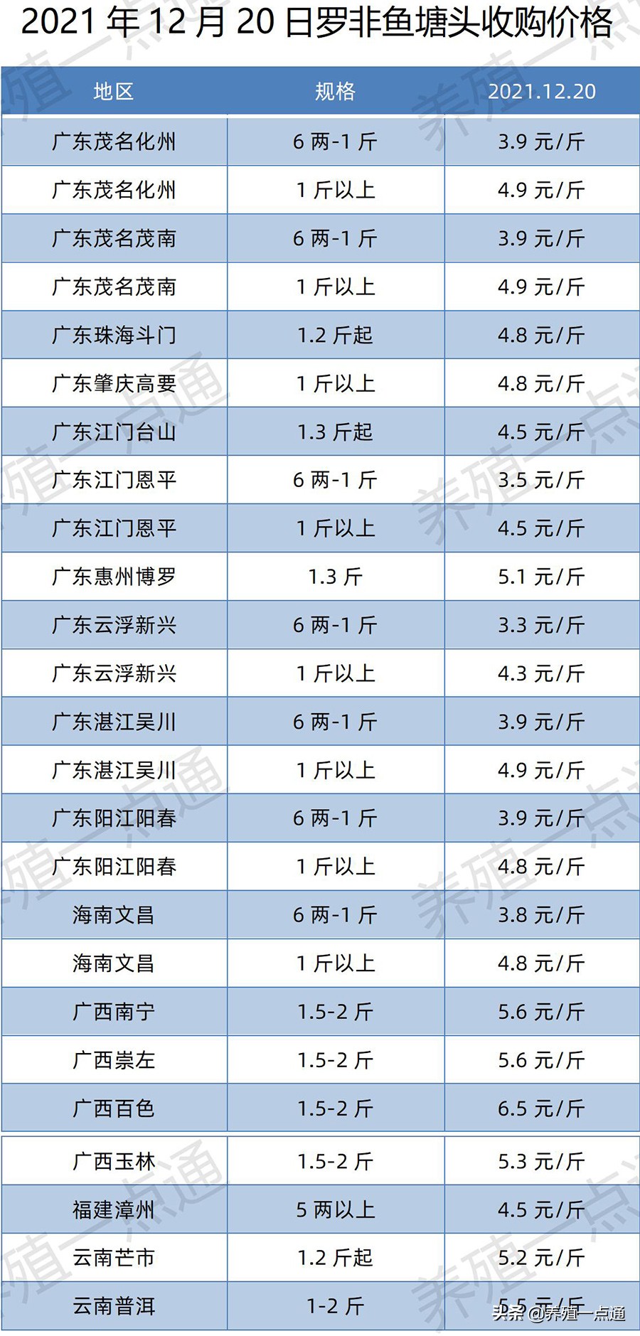 2021年12月20日，罗非、花鲢、鳊鱼、鮰鱼、鲫鱼、黑鱼、鲤塘口价